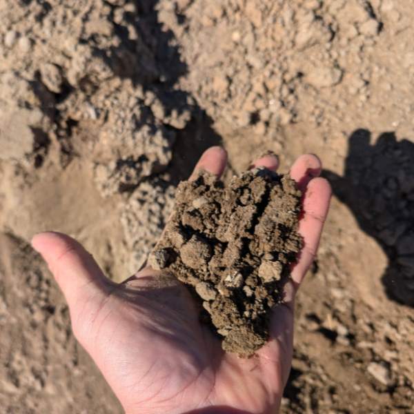 Top Soil - Per 1 Ton