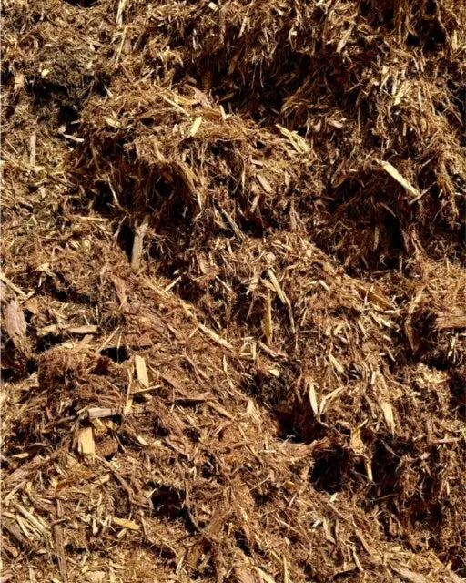Cascade Cedar - Per 1 Yard